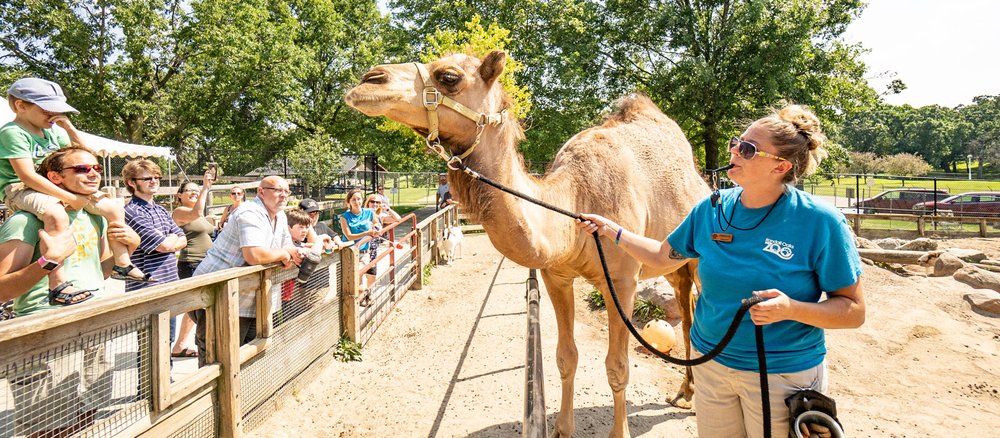 Randall Oaks Zoo