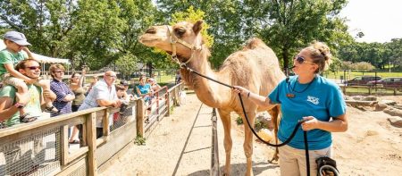 randall oaks zoo