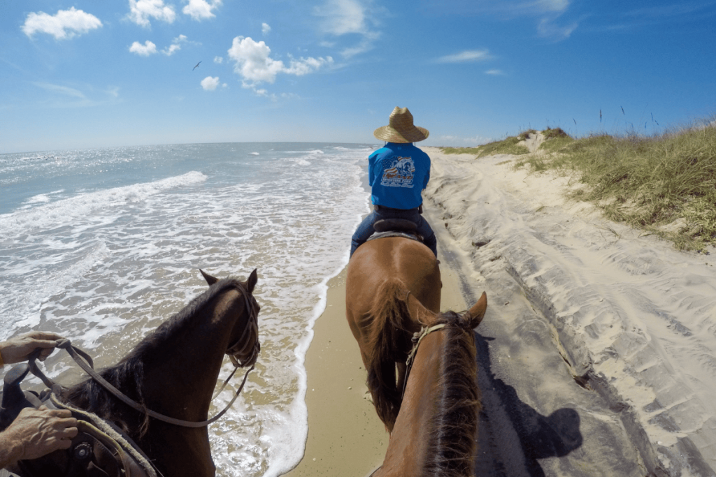 Top Things to Do in South Padre Island, Texas